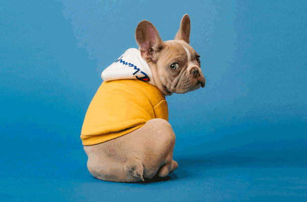 プリントしたくない背景などは削除してpng画像でアップロード